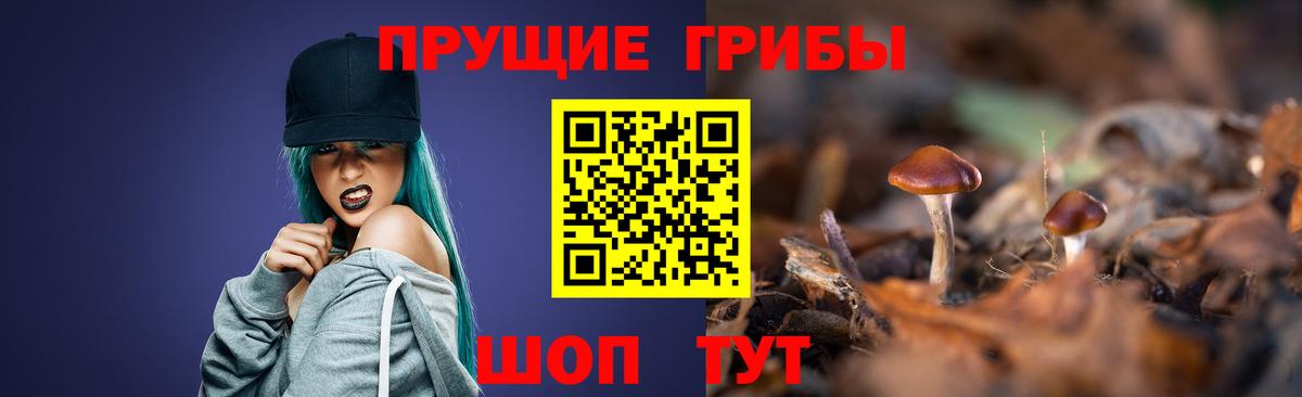 Сегежа  Галлюциногенные грибы Magic Shrooms  Вход с VPN 